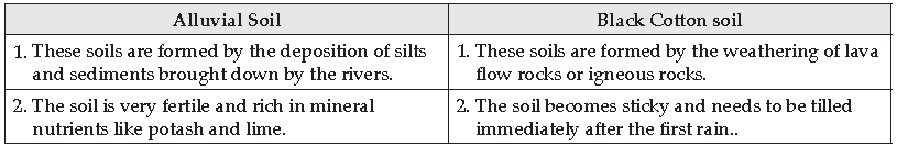 Soil Resources Previous Year Questions ICSE Class 10 Geography