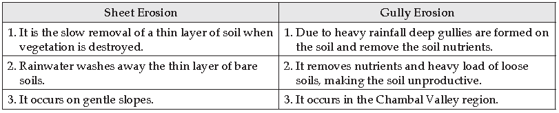 Soil Resources ICSE Class 10 Geography