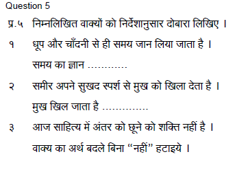 Sample Paper ICSE Class 10 Hindi Set E