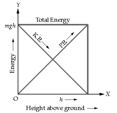 Previous Year Questions ICSE Class 10 Physics Work Energy And Power