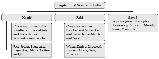 Notes Agriculture I and II ICSE Class 10 Geography