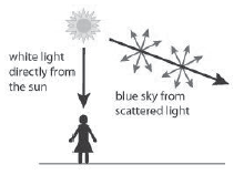 Force LIGHT Board Exam Questions