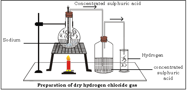 Hydrogen Chloride ICSE Class 10 Chemistry Important Questions