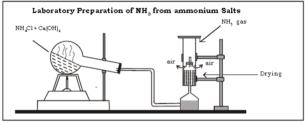 Ammonia ICSE Class 10 Chemistry Important Questions