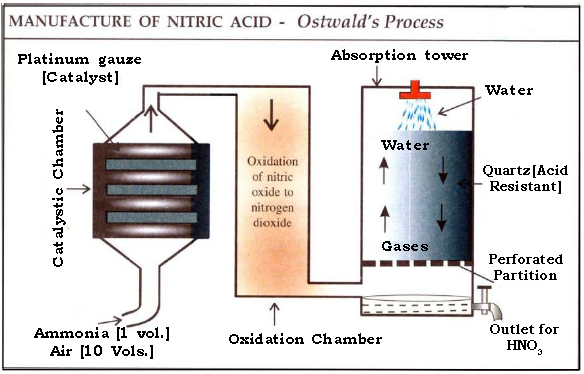 Nitric Acid ICSE Class 10 Chemistry Important Questions