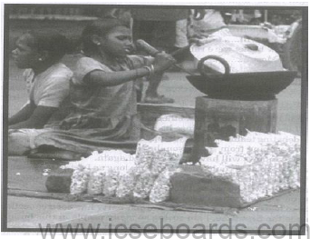 Sample Paper ICSE Class 10 English Language Set C