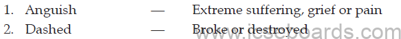 Nine Gold Medals Summary ICSE Class 10 English