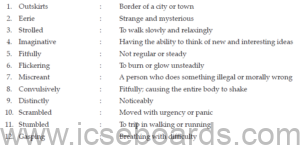 A Face in The Dark Summary ICSE Class 10 English