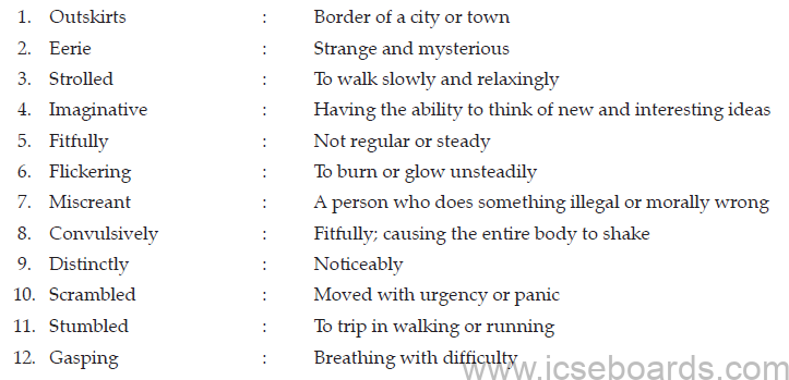 A Face in The Dark Summary ICSE Class 10 English