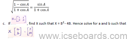 Sample Paper ICSE Class 10 Mathematics Set B