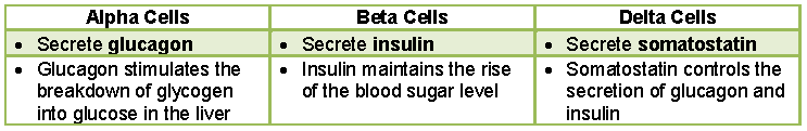 Notes Endocrine System ICSE Class 10 Biology