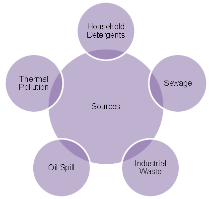 Notes Pollution ICSE Class 10 Biology