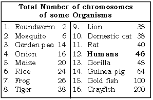 Genetics Some Basic Fundamentals ICSE Class 10 Biology Board Exam Questions