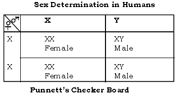 Genetics Some Basic Fundamentals ICSE Class 10 Biology Board Exam Questions