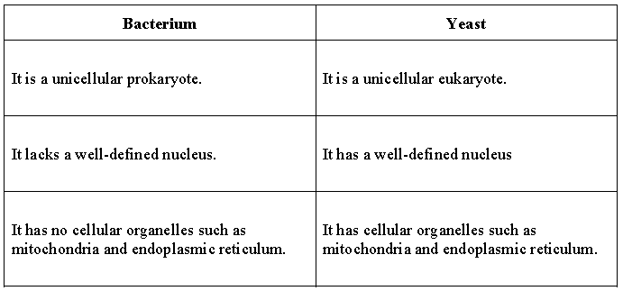 Notes Cell Cycle and Cell Division ICSE Class 10 Biology