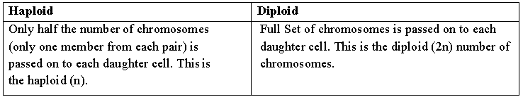 MCQ Questions Structure of Chromosomes, Cell Cycle and Cell Division ICSE Class 10 Biology
