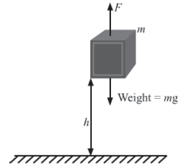 Notes Force ICSE Class 10 Physics