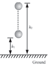 Notes Force ICSE Class 10 Physics