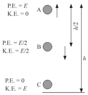 Notes Force ICSE Class 10 Physics