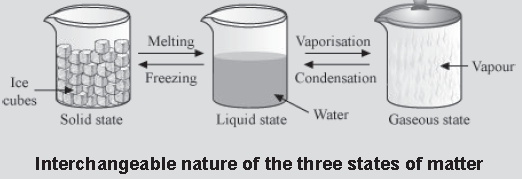 Notes Calorimetry ICSE Class 10 Physics