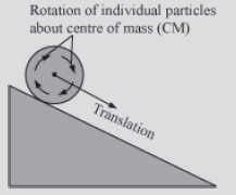 Notes Force ICSE Class 10 Physics