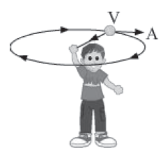 Notes Force ICSE Class 10 Physics