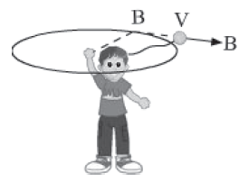 Notes Force ICSE Class 10 Physics