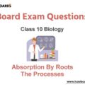 Absorption by Roots The Processes Involved ICSE Class 10 Biology