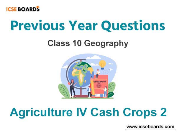 Agriculture IV Cash Crops 2 Previous Year Questions ICSE Class 10 Geography