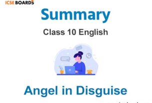 Angel in Disguise Summary ICSE