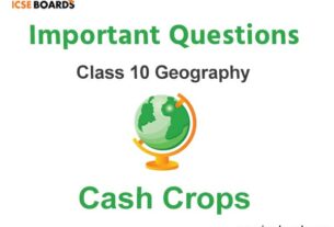 Cash Crops ICSE Class 10 Geography
