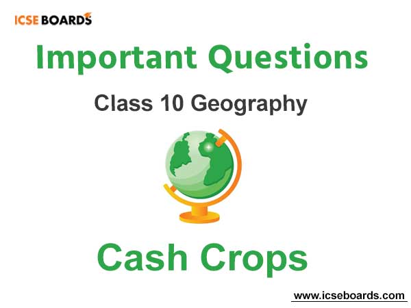 Cash Crops ICSE Class 10 Geography