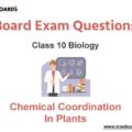 Chemical Coordination in Plants ICSE Class 10 Biology Board Questions