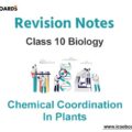 Chemical Coordination in Plants ICSE Class 10 Biology