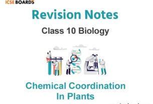 Chemical Coordination in Plants ICSE Class 10 Biology