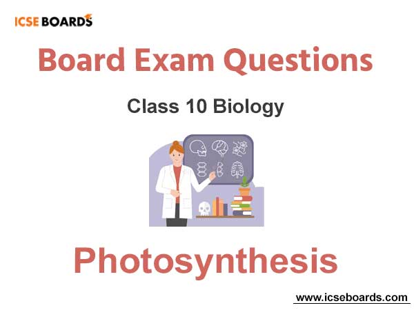 Photosynthesis ICSE Class 10 Biology