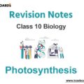 Photosynthesis ICSE Class 10 Biology