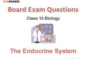 The Endocrine System ICSE Class 10 Biology