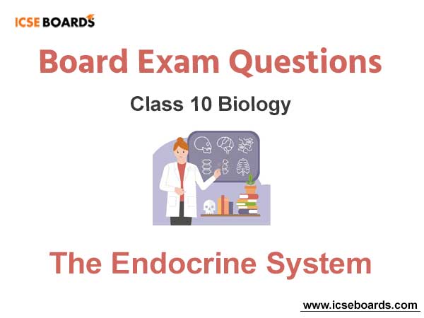 The Endocrine System ICSE Class 10 Biology