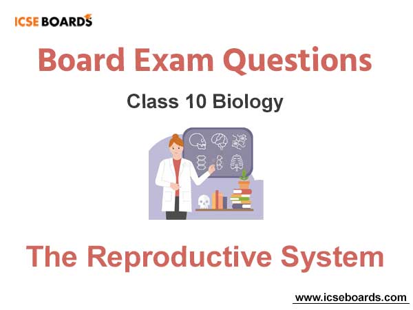 The Reproductive System ICSE Class 10 Biology