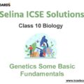 Selina ICSE Class 10 Biology Solutions Chapter 2 Genetics - Some Basic