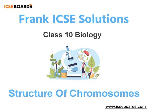 Frank ICSE Class 10 Biology Solutions Chapter 2 Structure of Chromosomes