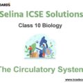 Selina ICSE Class 10 Biology Solutions Chapter 6 The Circulatory System