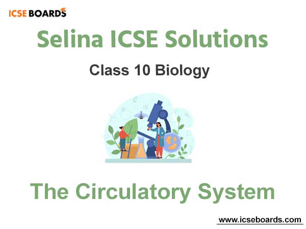Selina ICSE Class 10 Biology Solutions Chapter 6 The Circulatory System