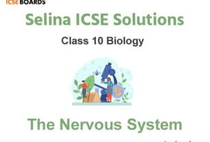 Selina ICSE Class 10 Biology Solutions Chapter 8 The Nervous System