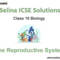 Selina ICSE Class 10 Biology Solutions Chapter 10 The Reproductive System