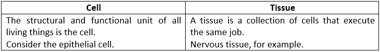 Selina ICSE Class 9 Biology Solutions Chapter 3 Tissues Plant And Animal Tissues