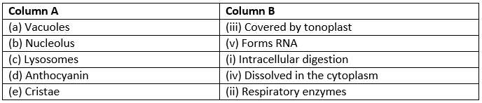 Selina ICSE Class 9 Biology Solutions Chapter 2 Cell The Unit Of Life
