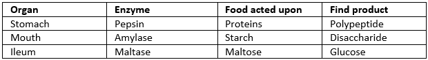 Selina ICSE Class 9 Biology Solutions Chapter 11 Digestive System