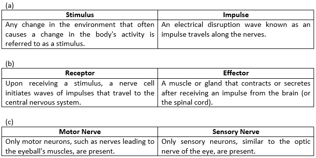 Selina ICSE Class 8 Biology Solutions Chapter 7 Nervous System